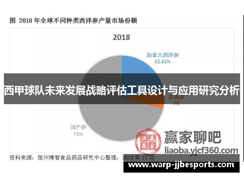 西甲球队未来发展战略评估工具设计与应用研究分析